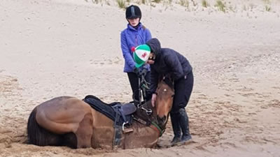 Застрявших в зыбучем песке лошадей спасли пожарные