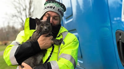 Кот дальнобойщика нашёлся в 2360 километрах от дома