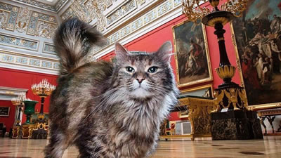 Союз музейных котов поможет животным обзавестись официальными должностями
