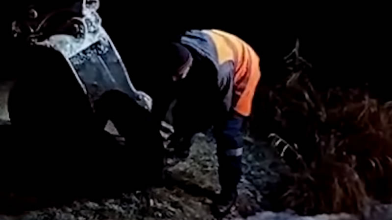 Строители достали провалившегося под лёд пса с помощью ковша экскаватора. Изображение: кадр из видео