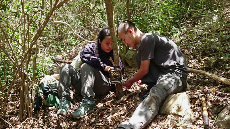 Исследователи расставляют фотоловушки в надежде найти вьетнамского оленька. Фото: Global Wildlife Conservation