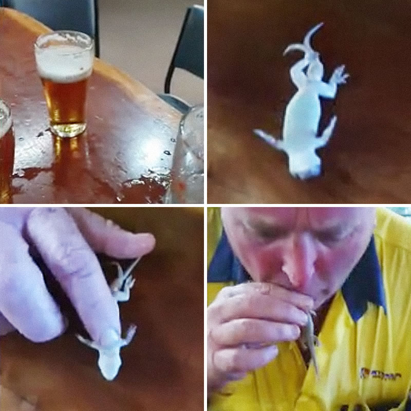 Австралиец спас жизнь тонувшему в пиве геккону. Изображение: кадры из видео