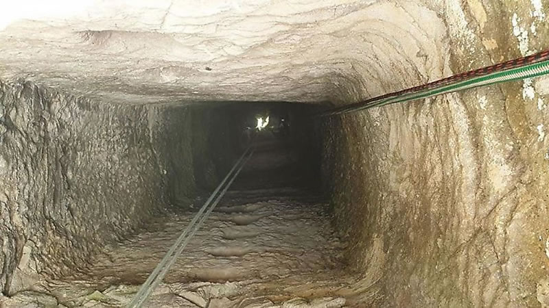 Обнаруженная золотоискателем заброшенная шахта, в которую провалилась самка кенгуру. Фото Five Freedoms Animal Rescue