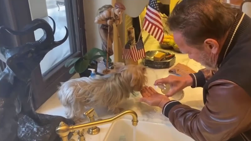 Арнольд Шварценеггер демонстрирует своей собаке, как правильно мыть руки во время пандемии коронавируса. Изображение: кадр из видео