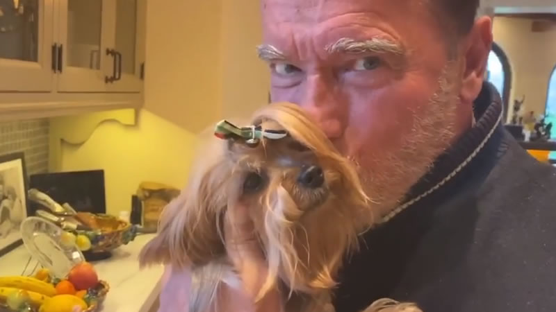 Арнольд Шварценеггер со своей собакой Черри. Изображение: кадр из видео
