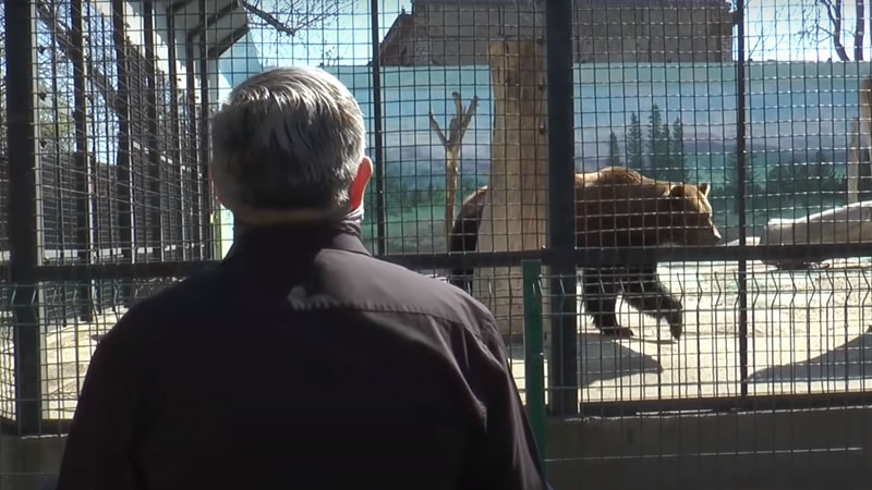Директор Одесского зоопарка играет для медведя. Изображение: кадр из видео