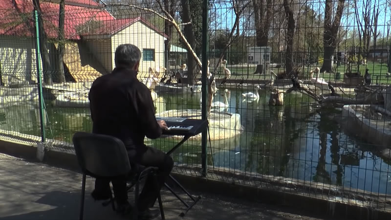 Директор Одесского зоопарка сыграл на синтезаторе концерт для животных. Изображение: кадр из видео