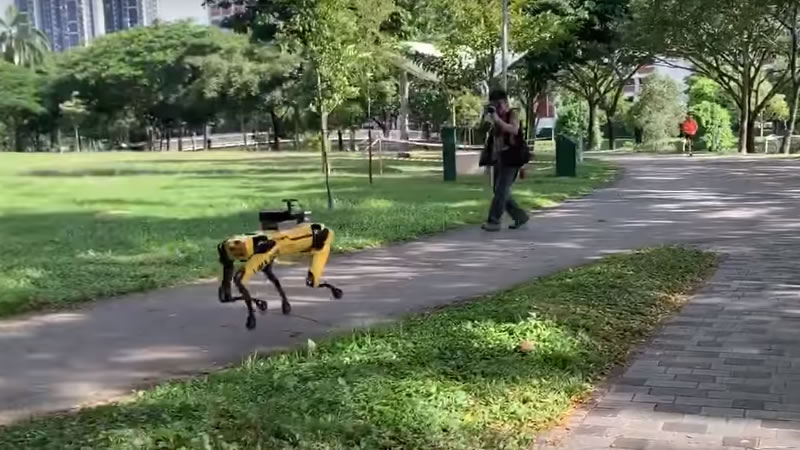 Посетитель парка фотографирует собаку-робота по кличке Спот. Изображение: кадр из видео