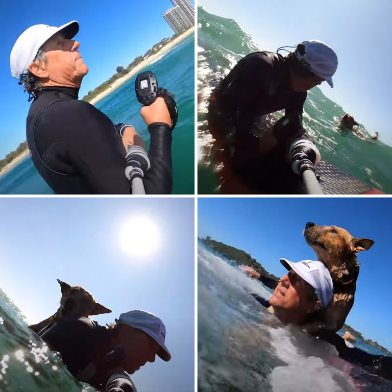 Серфингист Васко Веллез спасает упавшую в воду собаку. Изображение: кадр из видео