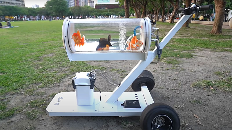 Аквариум для прогулок с рыбками похож на детскую коляску. Изображение: кадр из видео