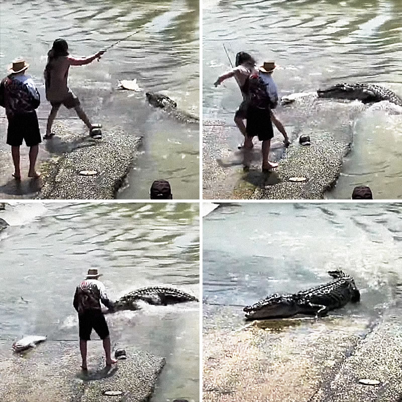 Наглый крокодил решил присвоить рыбу австралийца и потерпел фиаско. Изображение: кадры из видео